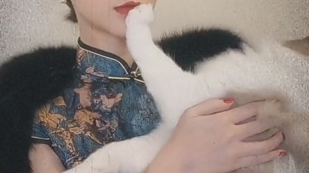 《精品禁欲课6》你把猫放开!有事冲我来!?!古典主义学派第二课。